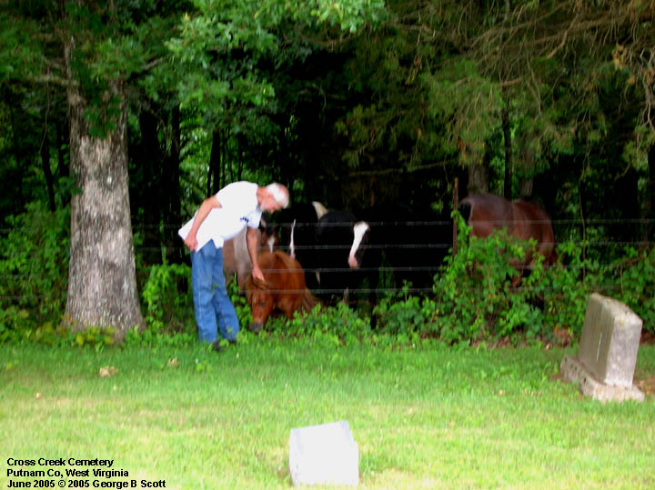 Horses at Cross Creek Cemetery, Putnam Co., West Virginia